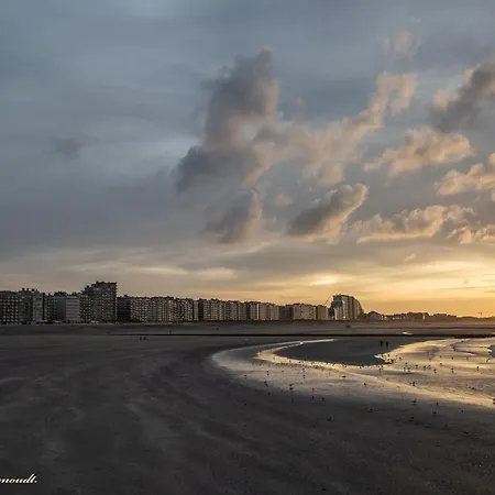 Lectus * Nieuwpoort